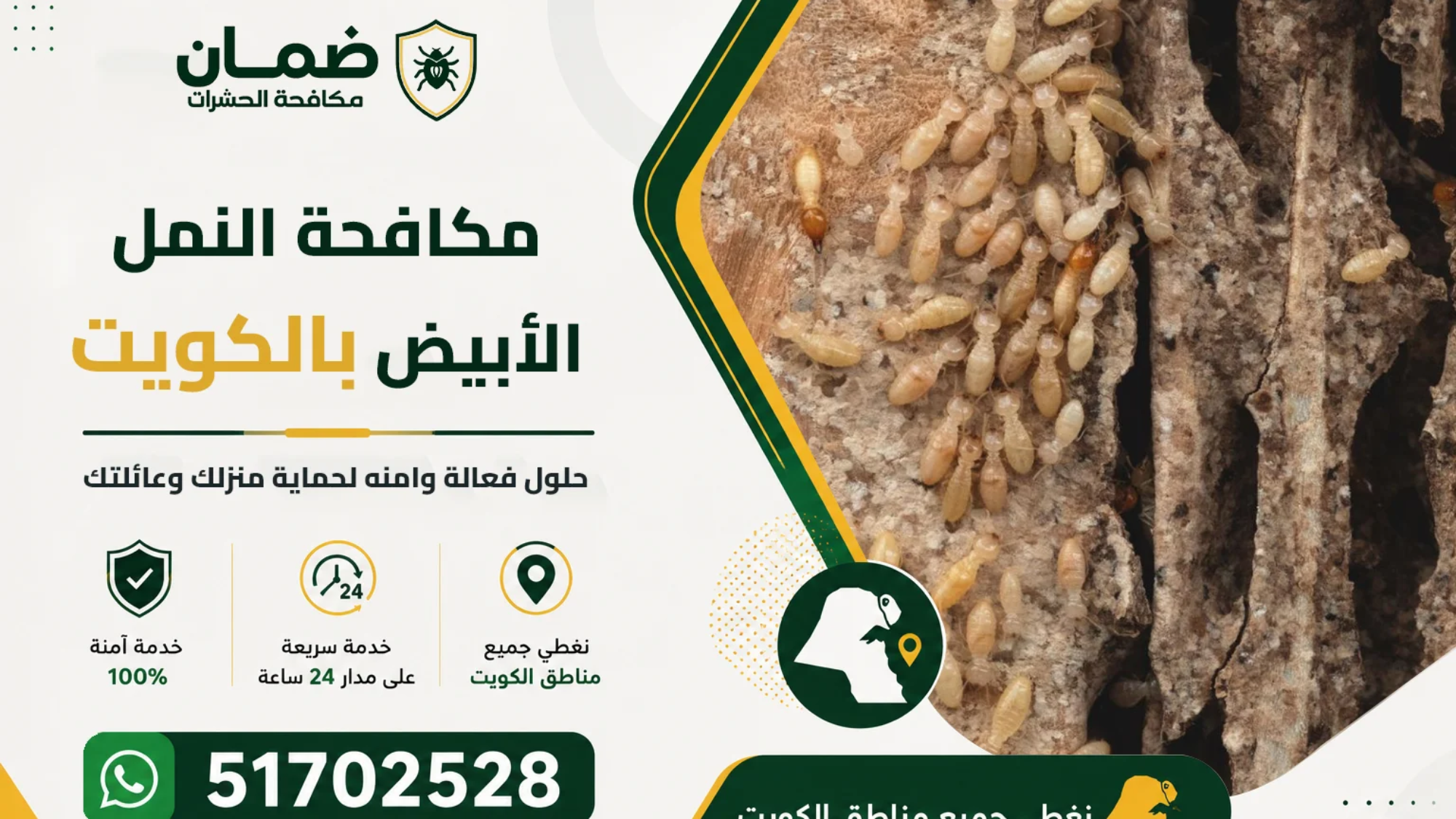 فني من شركة ضمان ينفذ خدمة مكافحة النمل الأبيض داخل منزل في الكويت باستخدام معدات حديثة