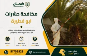 فني من شركة ضمان ينفذ خدمة مكافحة الحشرات داخل فيلا في منطقة أبو فطيرة بالكويت باستخدام أجهزة رش حديثة ومبيدات معتمدة